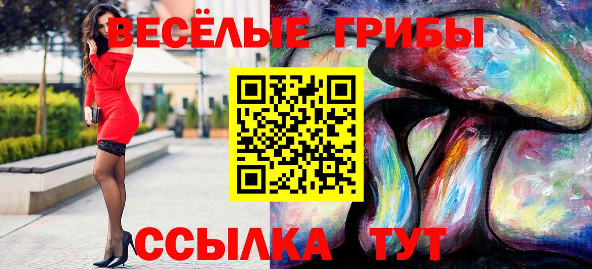 Псилоцибиновые грибы ЛСД  Вход с VPN  даркнет сайт  Златоуст 